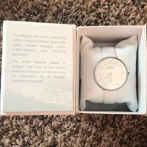 Skagen Watch